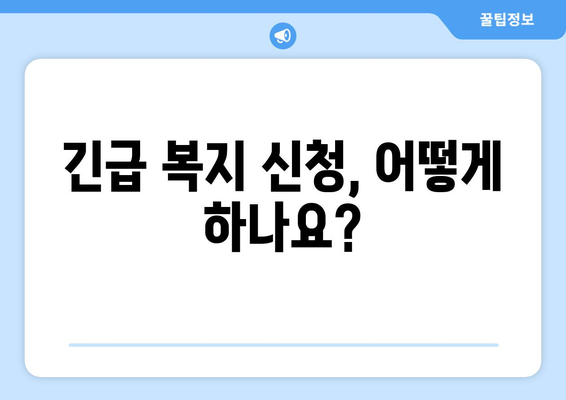 긴급 복지 지원 제도의 자격 요건과 혜택 분석