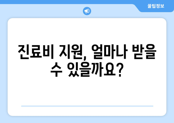 국민건강보험의 임신 출산 진료비 지원 제도 설명