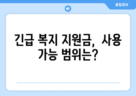 긴급 복지 지원 제도의 자격 요건과 혜택 분석