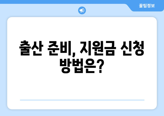 국민건강보험의 임신 출산 진료비 지원 제도 설명